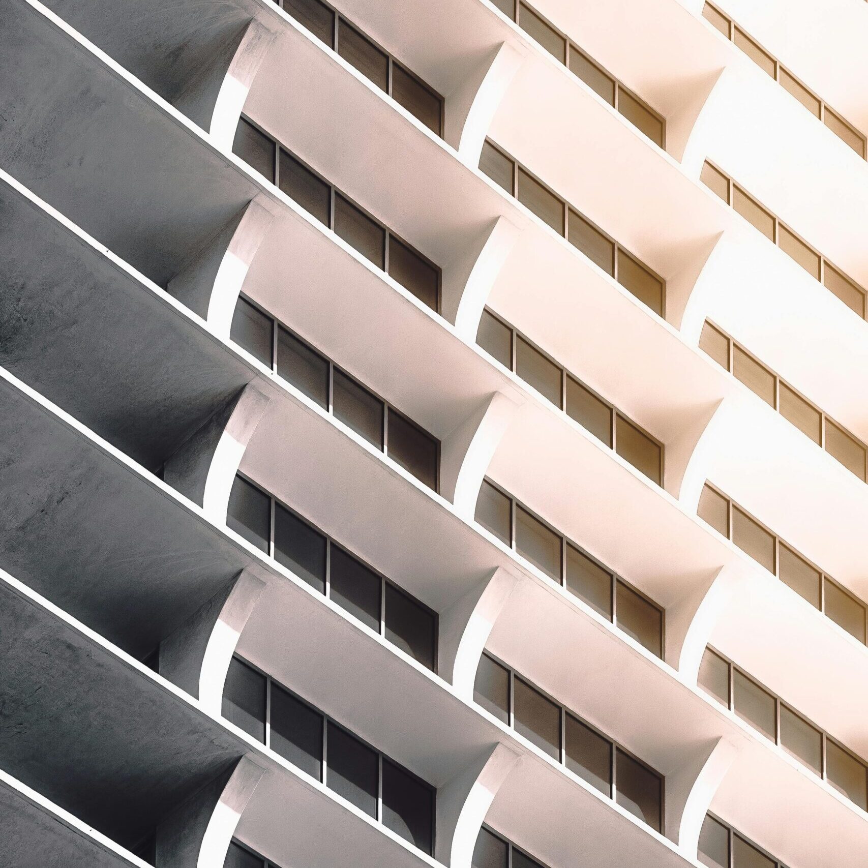 pexels-todd-trapani-488382-3790058